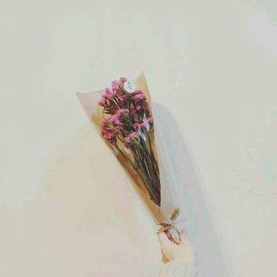 探险家手记手游下载