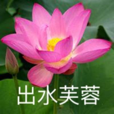 重生之花妖手游下载